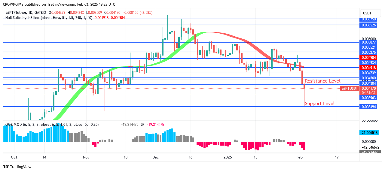 IMPTUSDT Price Is Reduces to Please Investors
