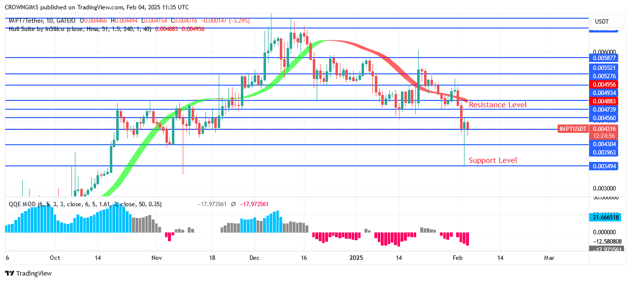IMPTUSDT Price Is Growing Higher