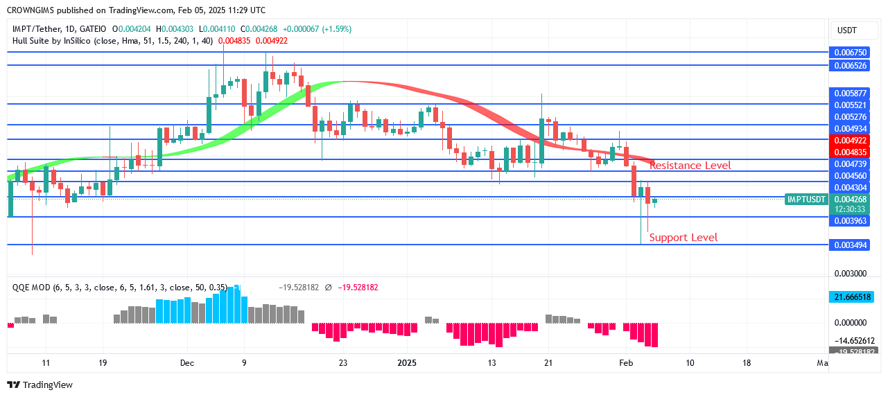 IMPTUSDT Price Is Performing Nicely