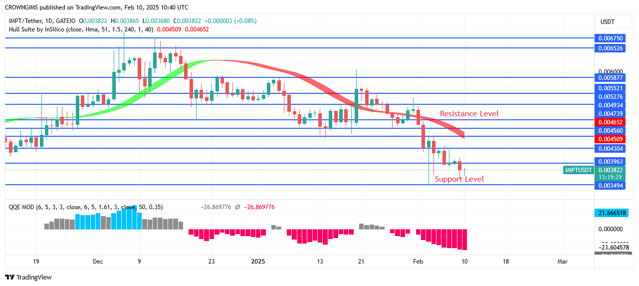 IMPTUSDT Price Is Going Higher
