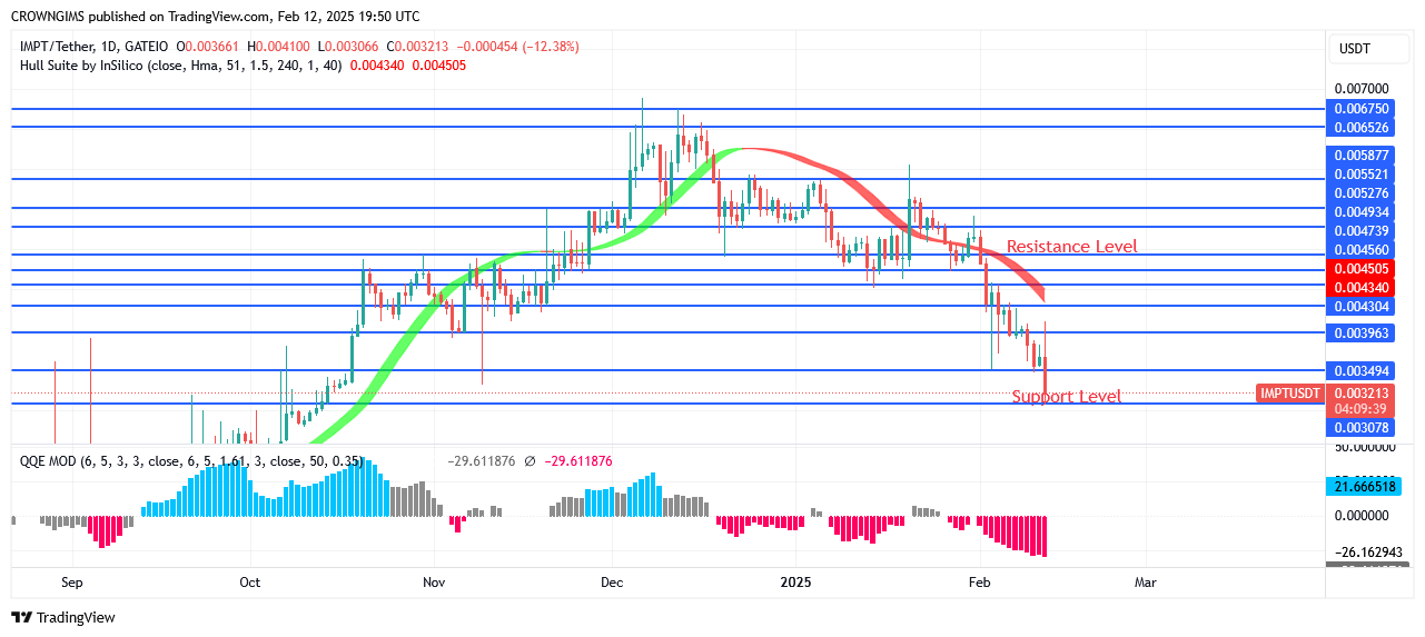 IMPTUSDT Price: Buyers Are Increasing