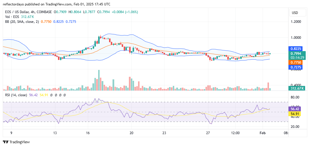 EOS (EOS/USD) Bulls Struggle to Reclaim Control at the Critical $0.8 Level
