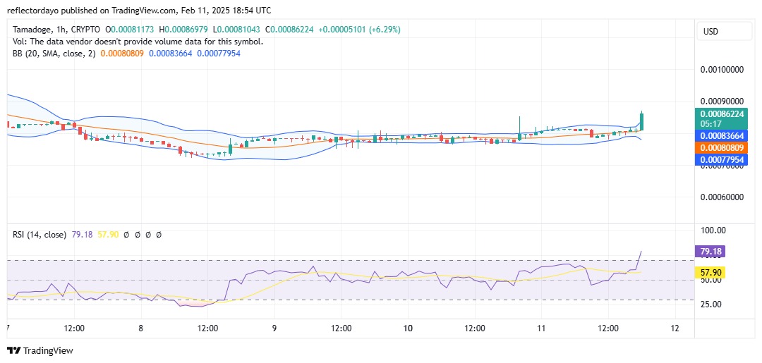 Tamadoge (TAMA/USD) Kicks Off Bullish Price Movement