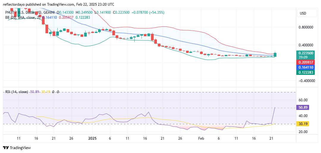 Top Trending Coins for Today, February 23: PI, PNUT, STMX, RUN and BAN