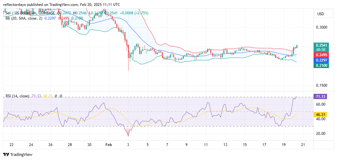 Sei Market (SEI/USD) Bearish Trend Nears Conclusion at $0.20