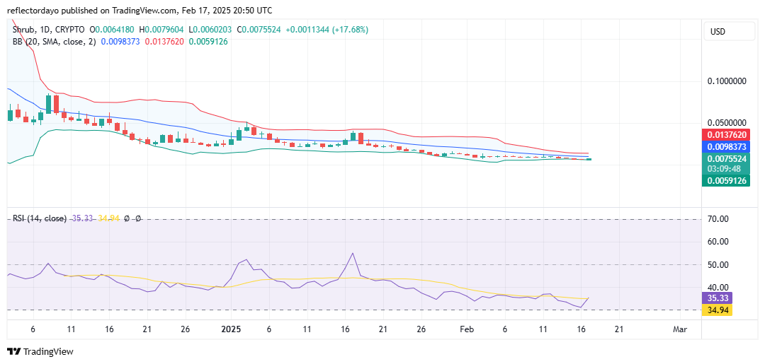 The Shrub Market (SHRUB/USD): Poised for a Powerful Breakout?
