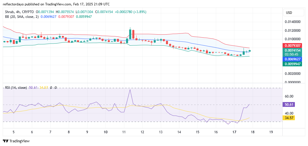 The Shrub Market (SHRUB/USD): Poised for a Powerful Breakout?