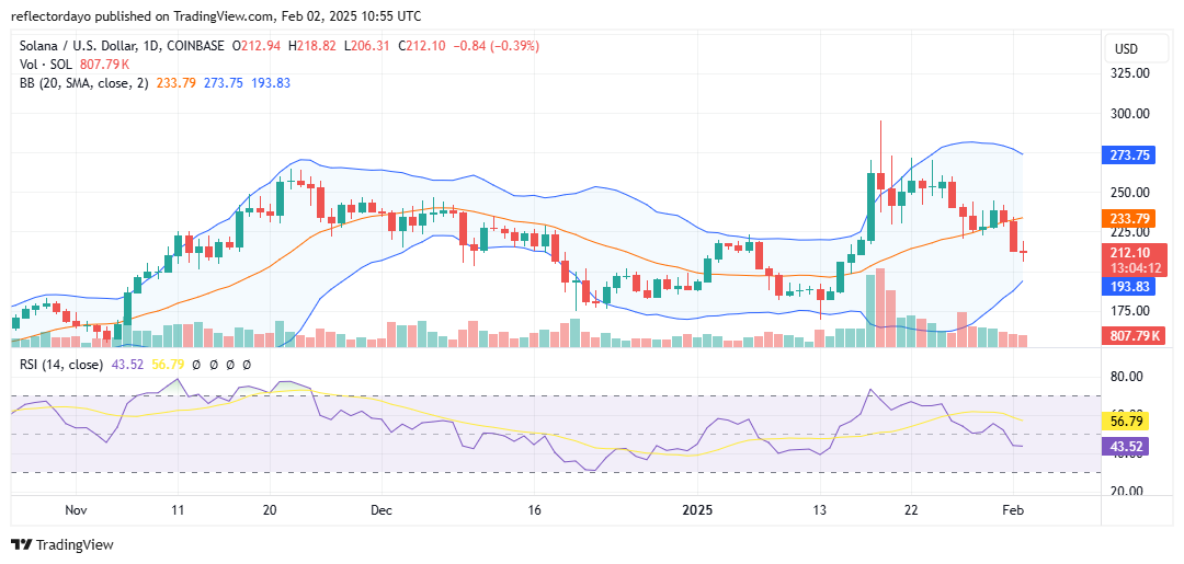 Top Trending Coins for Today, February 2: DCOIN, XRP, RUNE, TRUMP and SOL