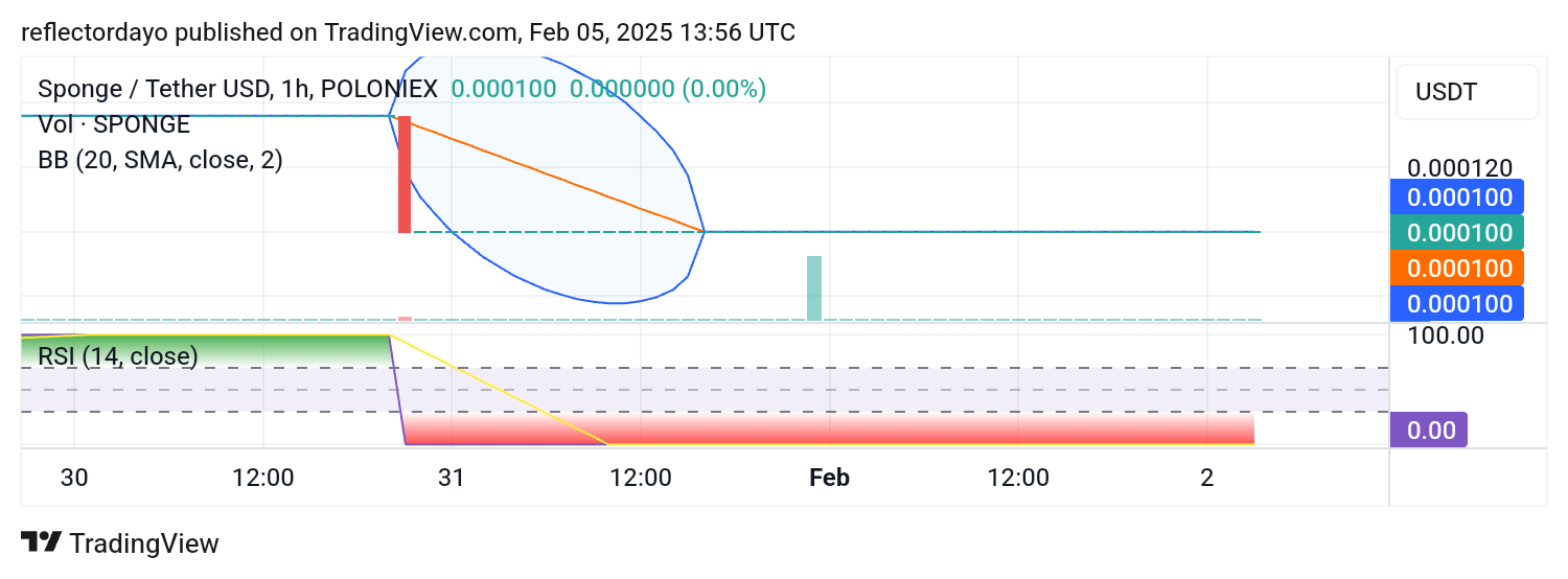 SPONGE/USD Gearing Up for a Rebound from $0.0001 Support