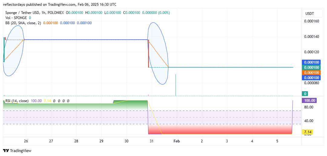 $SPONGE (SPONGE/USD) Poised for Potential Price Surge After Consolidation