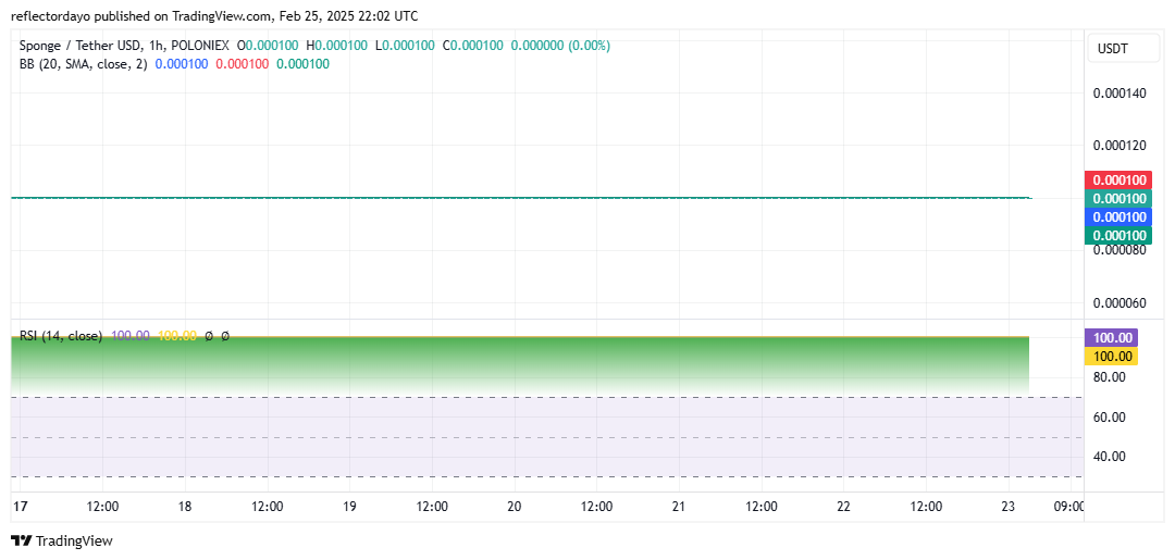 $SPONGE (SPONGE/USD) Holds Steady as Buyers and Sellers Reach Equilibrium