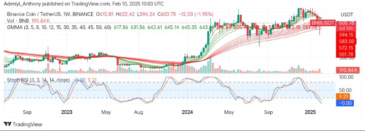 BNB (BNB/USDT) at a Turning Point: What is Next?