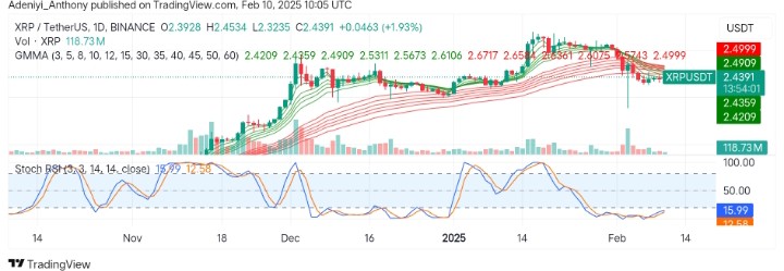 XRP (XRP/USDT) Record a Minor Gains Amidst Market Conditions