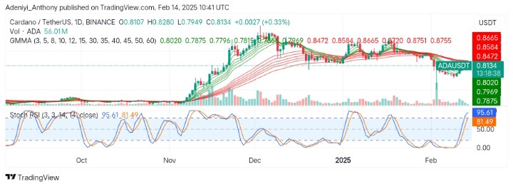 Cardano (ADA/USDT) Eyes Bullish Recovery Amid Market Conditions