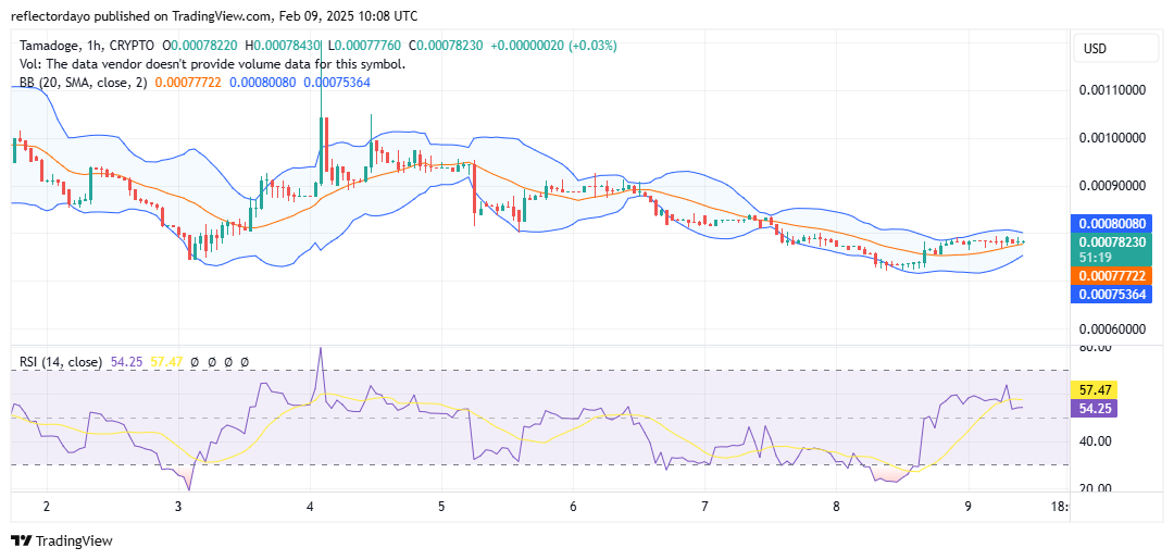 Tamadoge (TAMA/USD) at $0.00078: Potential Bounce Ahead?