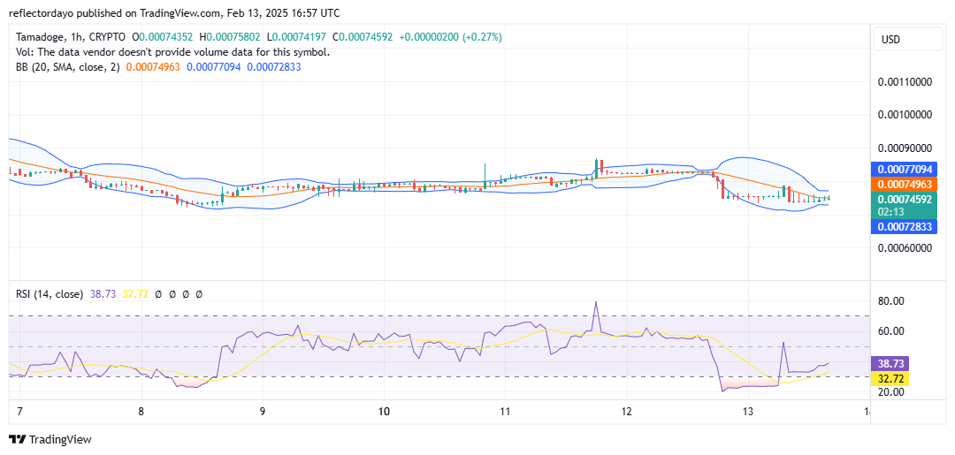 Tamadoge (TAMA/USD) Fell Short of $0.0008 Price Level, Bulls Regroup at $0.00074