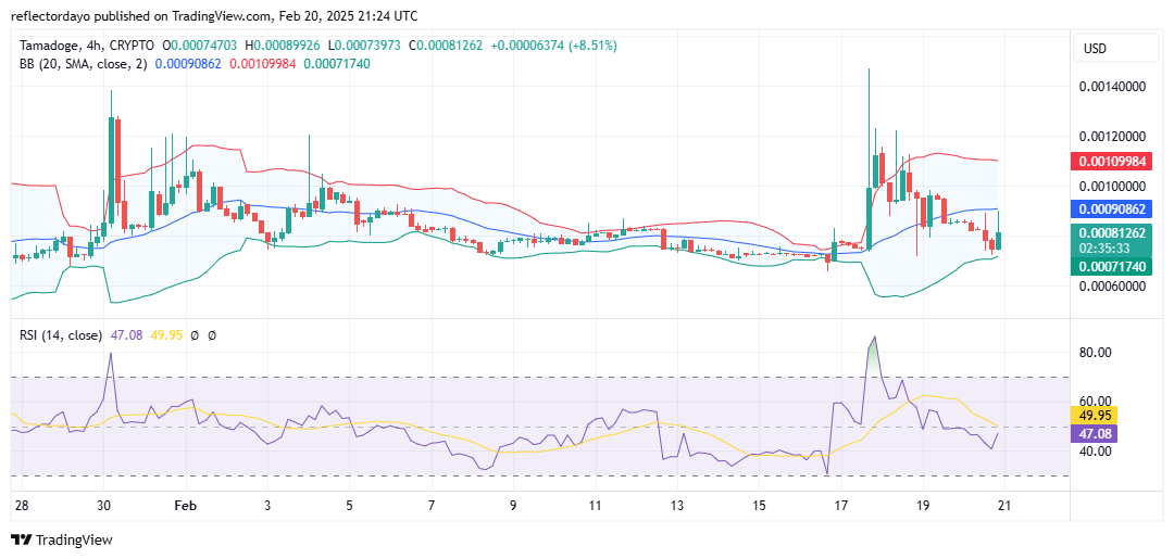 Tamadoge (TAMA/USD) Gearing Up for a Fresh Bullish Cycle