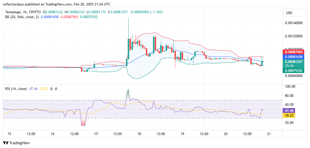 Tamadoge (TAMA/USD) Gearing Up for a Fresh Bullish Cycle