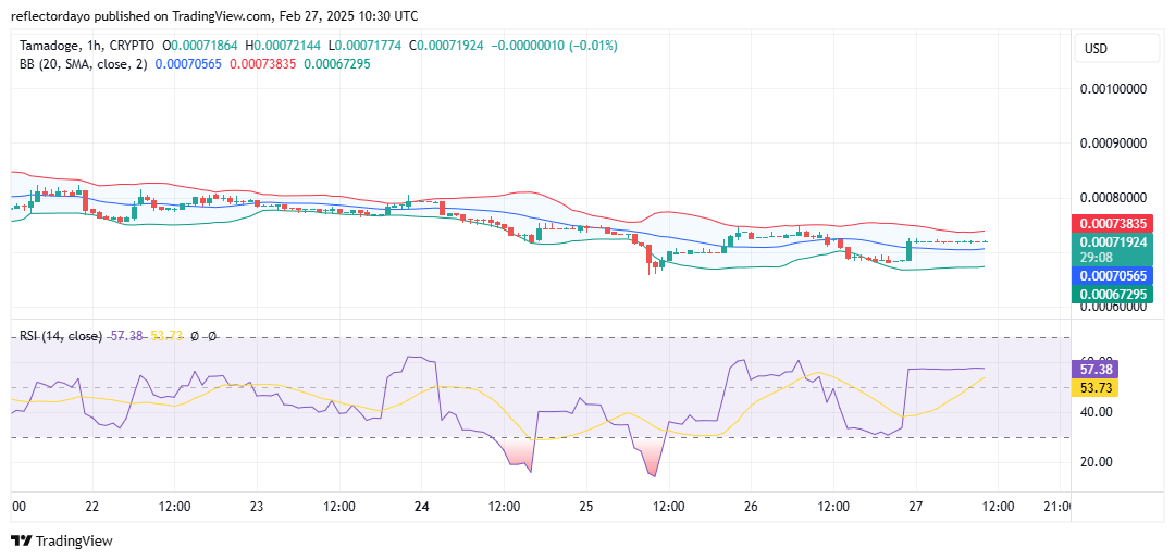 Tamadoge (TAMA/USD) Rebounds from $0.00065, Faces a Test at $0.00071