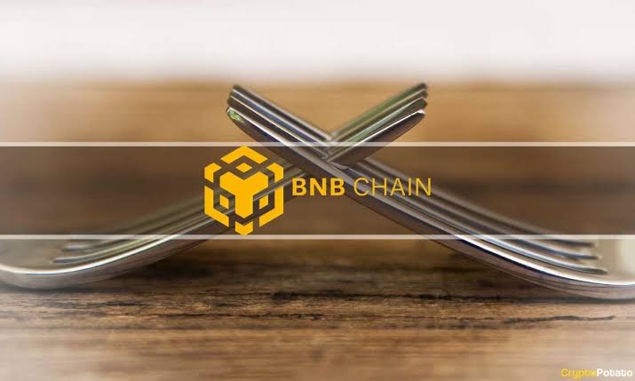 The BNB Chain Plans Pascal Hard Fork upgrade for March 2025