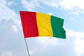 Tether and Guinea: A Step Toward Blockchain Advancement
