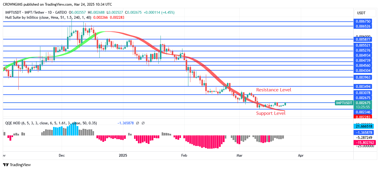 IMPTUSDT Price: Demand Is Rising