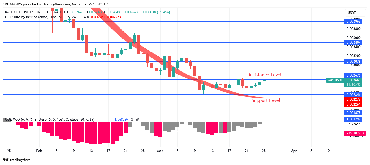 IMPTUSDT Price: Buyers Are Controlling Market