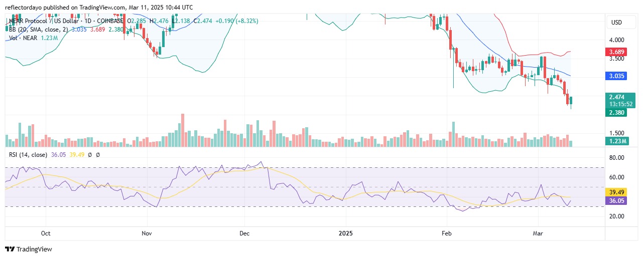Near Protocol (NEAR/USD) Rebounds Strongly After Dropping Below $2.50