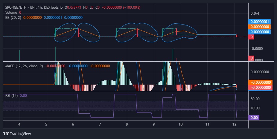 SPONGE/USD ($SPONGE) Poised for a Breakout from Key Support at $0.000000000256