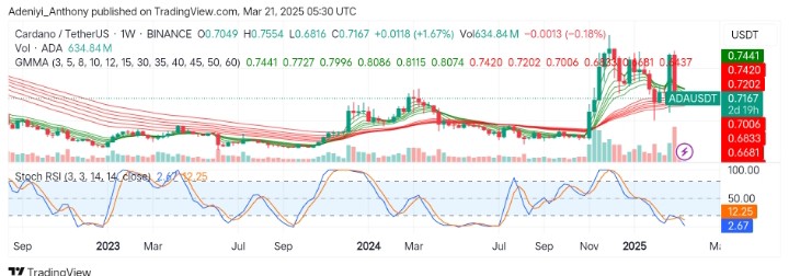 Cardano (ADA/USDT) Shows Signs of Bullish Momentum Amidst Crucial Levels