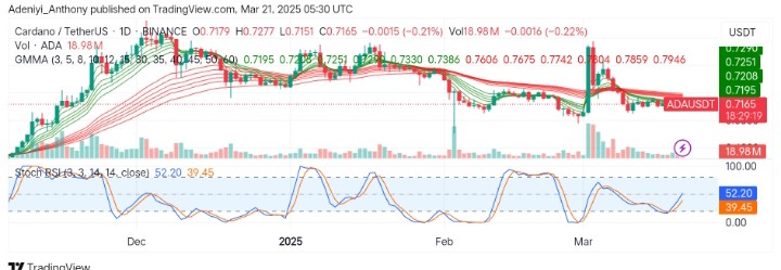 Cardano (ADA/USDT) Shows Signs of Bullish Momentum Amidst Crucial Levels