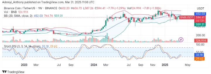 BNB (BNB/USDT) Pauses Bullish Momentum, Seeks to Hold Above Immediate Support Level