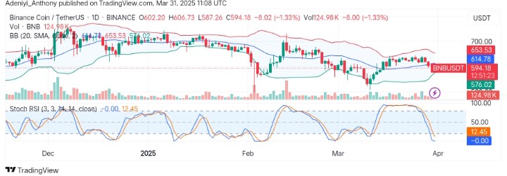 BNB (BNB/USDT) Pauses Bullish Momentum, Seeks to Hold Above Immediate Support Level