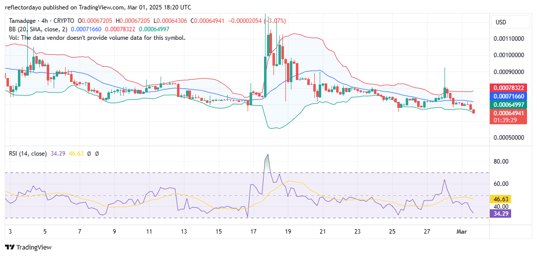 Tamadoge (TAMA/USD): Gearing Up for a Potential Bullish Surge
