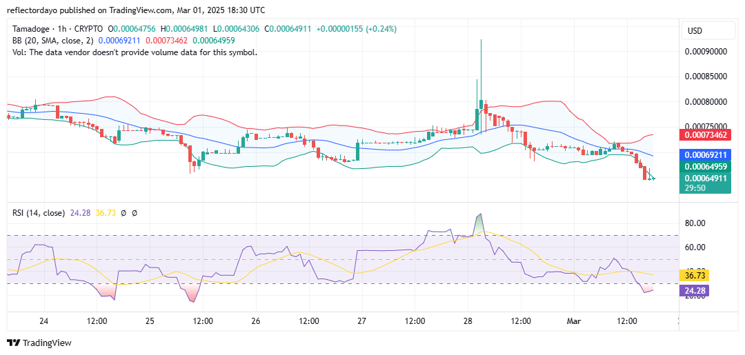 Tamadoge (TAMA/USD): Gearing Up for a Potential Bullish Surge