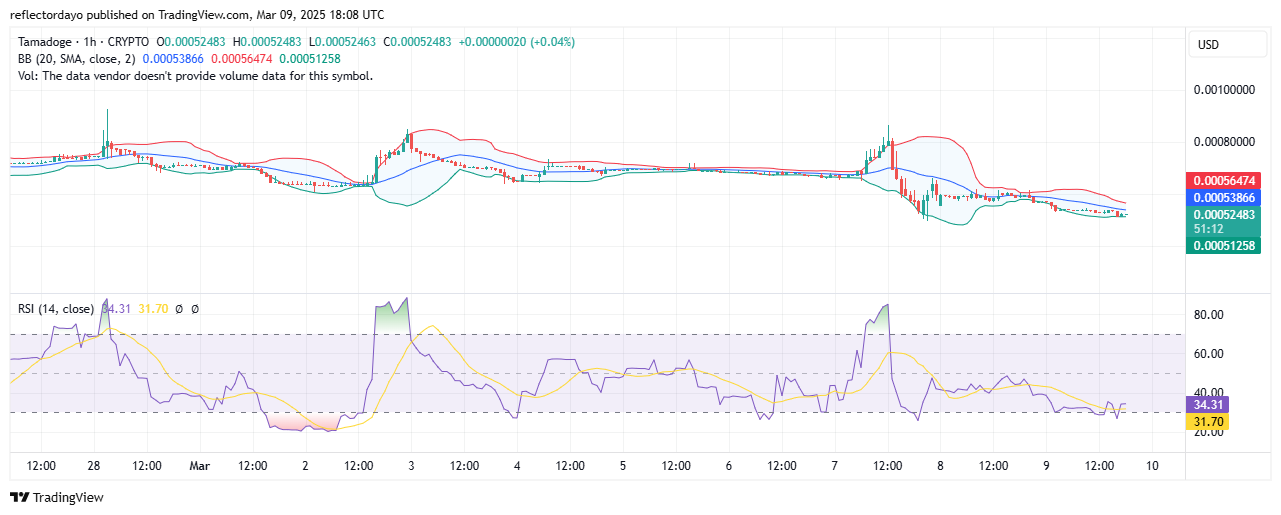 Tamadoge (TAMA/USD): Bulls Regain Strength at $0.0005 – Is a Rally on the Horizon?