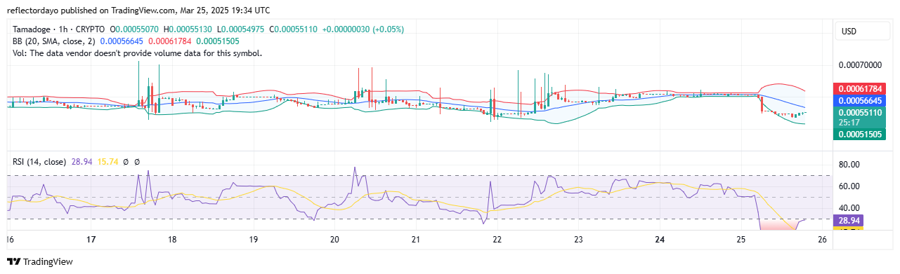 Tamadoge (TAMA/USD): Bulls Regroup at $0.00055 After Tamadoge Price Rejection