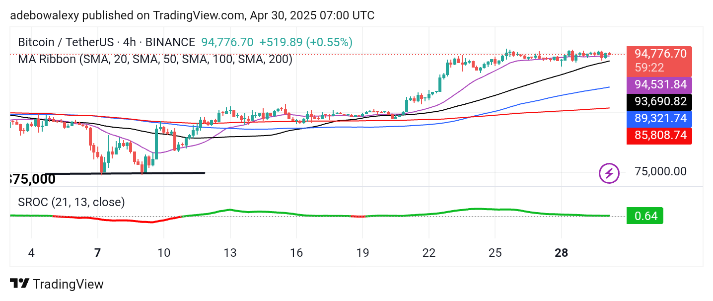 Bitcoin (BTC) Price Prediction: BTC/USDT Consolidates Around $95,000 Mark