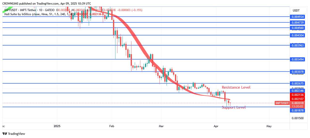 IMPTUSDT Price: People Buy IMPT at a Reasonable Price