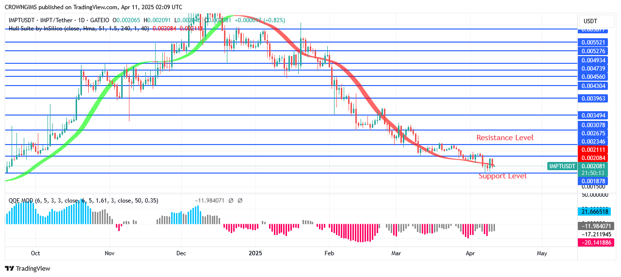 IMPTUSDT Price: Buyers Are in Control