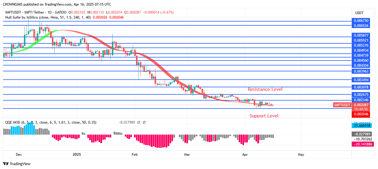 IMPTUSDT Price: Buyers Are on Increase