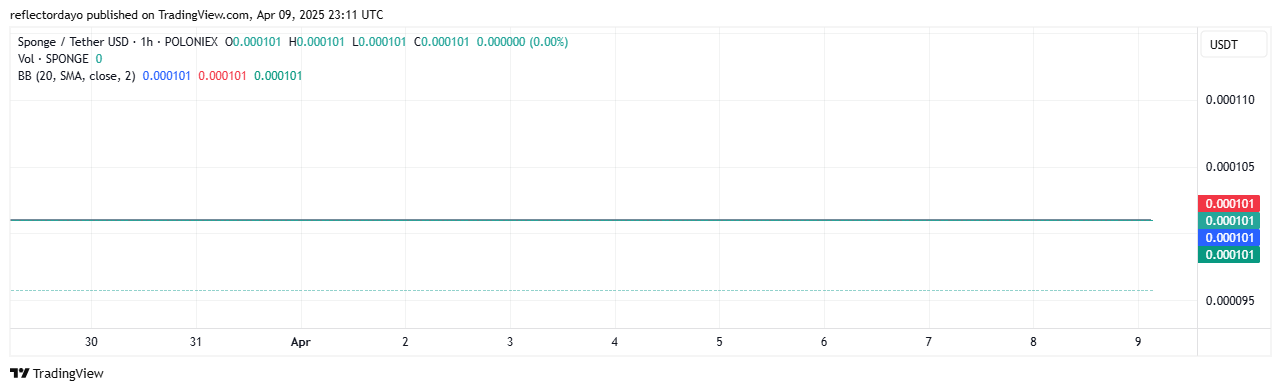 SPONGE/USD ($SPONGE) Market Outlook: $0.0001 Holding the Line, Bulls Lurking