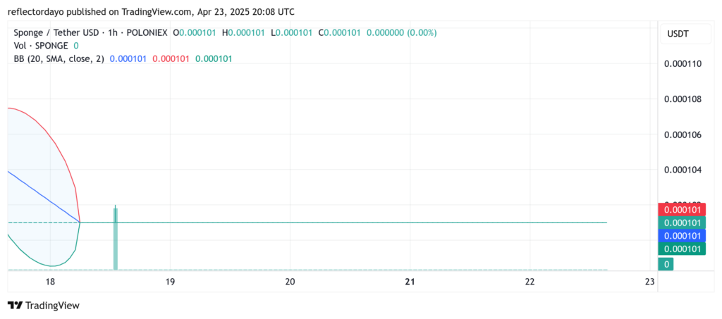 SPONGE/USD ($SPONGE) Eyes Rebound as Bulls Hold Ground at $0.0001