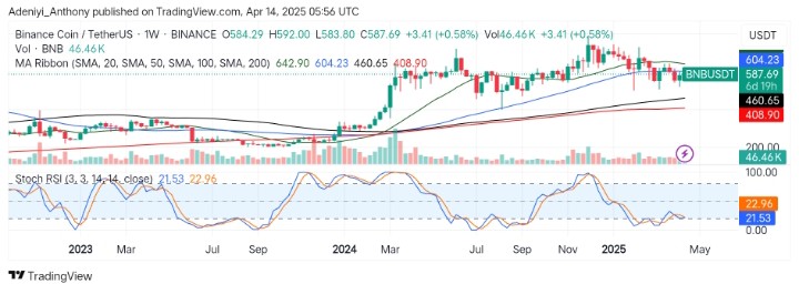 BNB (BNB/USDT) Faces Key Zone as Bulls Defend Critical Support