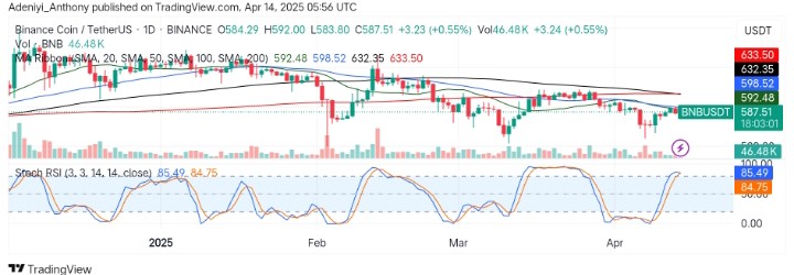 BNB (BNB/USDT) Faces Key Zone as Bulls Defend Critical Support