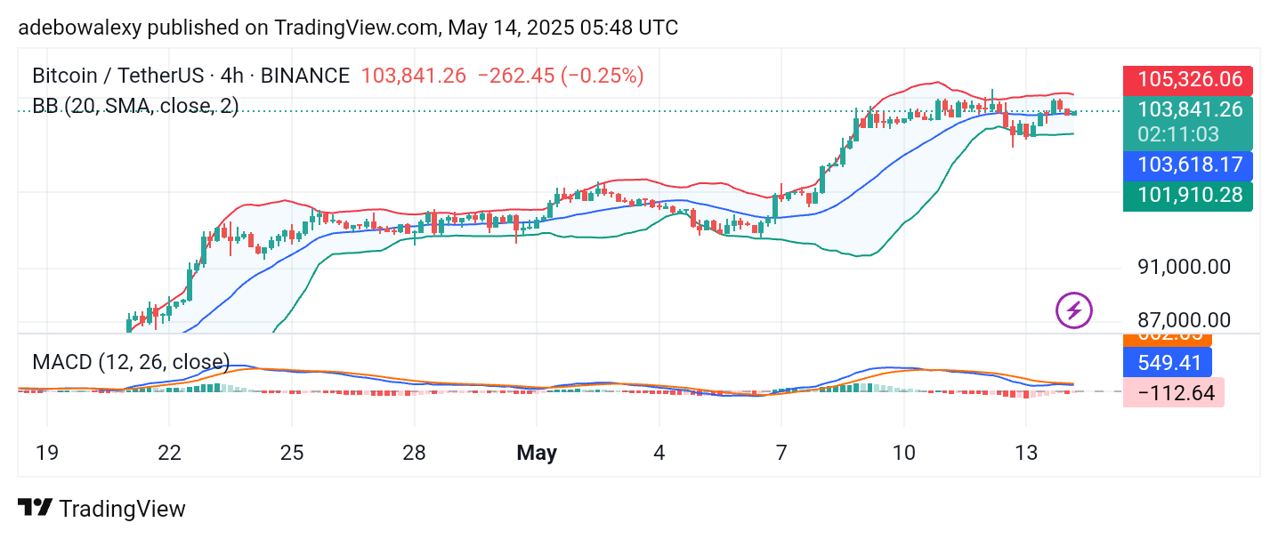 Bitcoin (BTC) Price Prediction: BTC/USDT Sustains Around $104,000