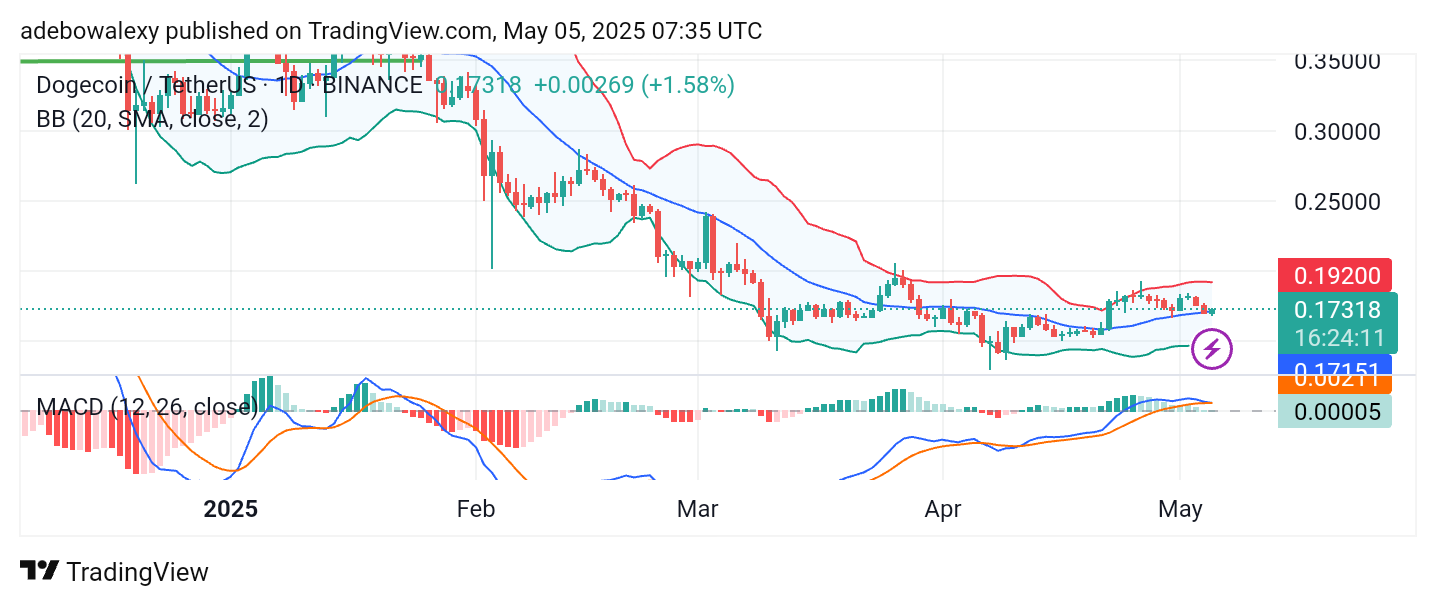 Dogecoin (DOGE) Price Prediction: DOGE/USDT Rebounds Above the $0.1700 Mark