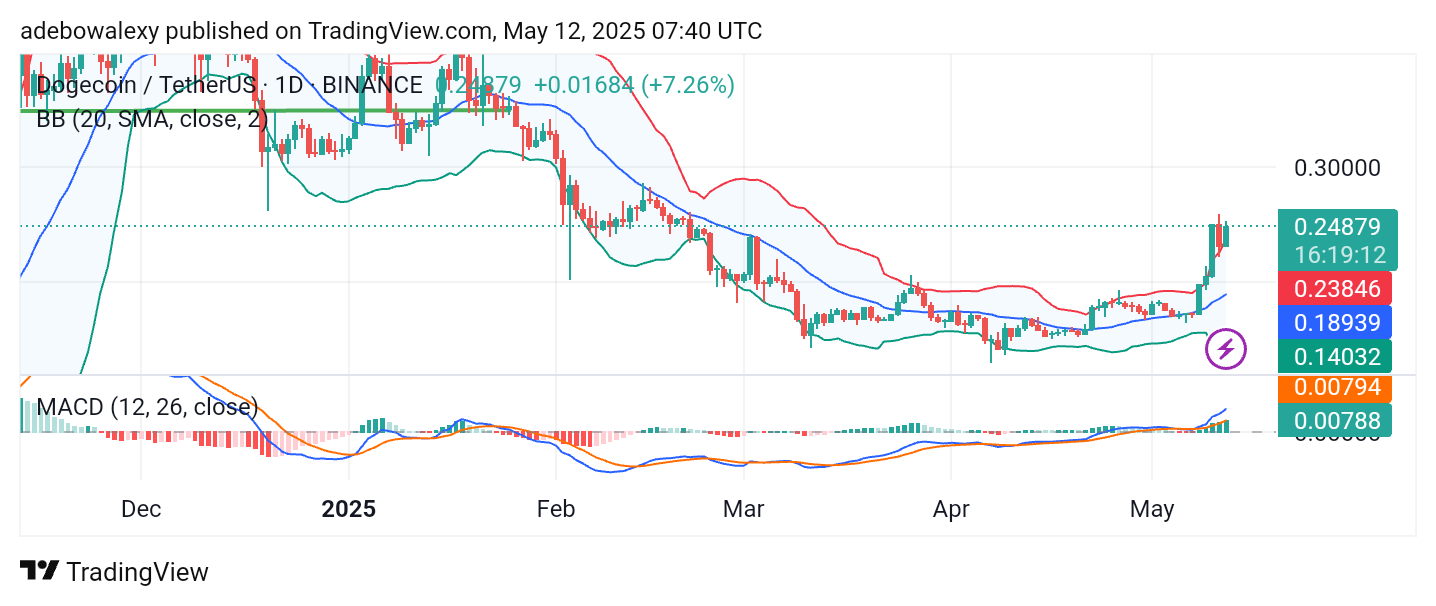 Dogecoin (DOGE) Price Prediction: DOGE/USDT Recovers, Charges Toward the $0.3000 Price Level