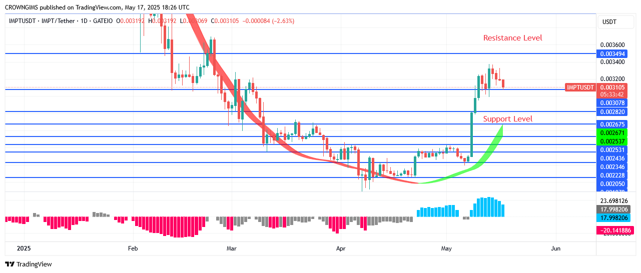IMPTUSDT Price Commences a Positive Trend