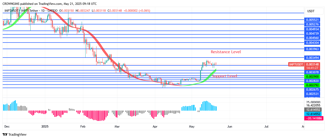 IMPTUSDT Price: Low Price Attracts Many People
